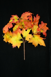 Orange Maple Leaf Bush x7 (Lot of 1) SALE ITEM